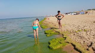 Анапа. Погода. 22.06.2018 МОРЕ разное Водоросли и... Анапа. Погода. 22.06.2018 МОРЕ разное Водоросли и...