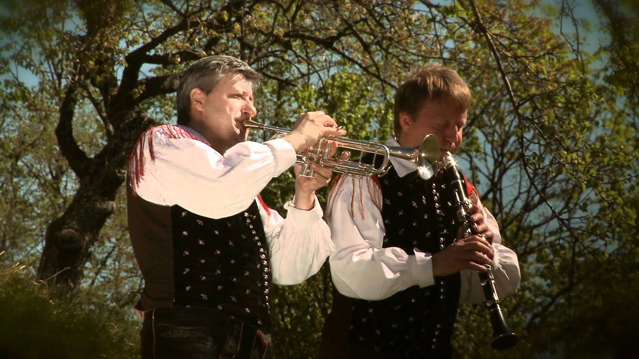 ANS. ZUPAN - TU SEM DOMA