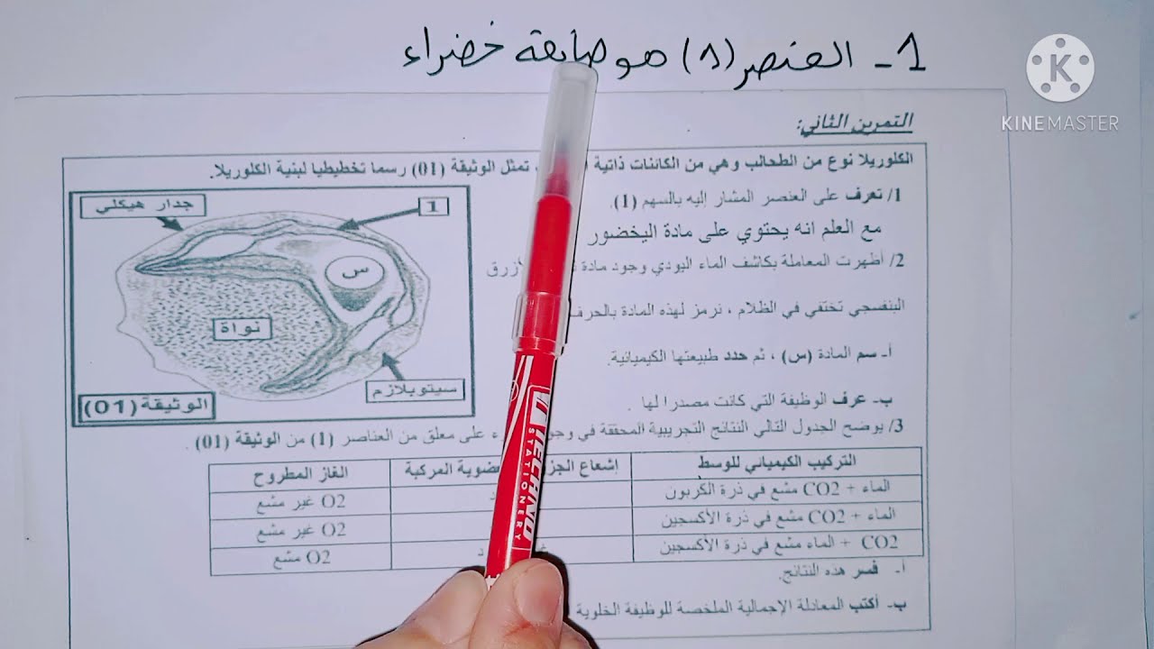 حل التمرين الاول الخاص بدرس التركيب الضوئي ✌ كمراجعة للفرض والاختبار
