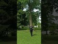 Tasers Miss The Old Man On His Lawn Mower