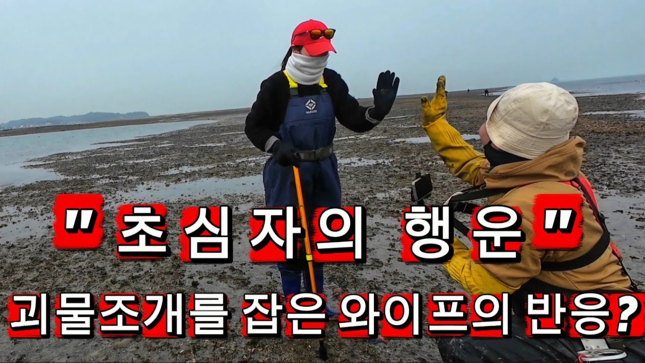 세상가장 쉽게 잡을수 있는 대왕 조개가 있다고 와이프 속여서 잡으러 갔더니?? 이렇게나 나온다고??