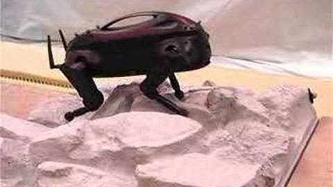 LittleDog Robot