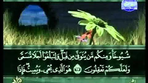 سورة غافر الشيخ سعد الغامدي Ghaafir2/2