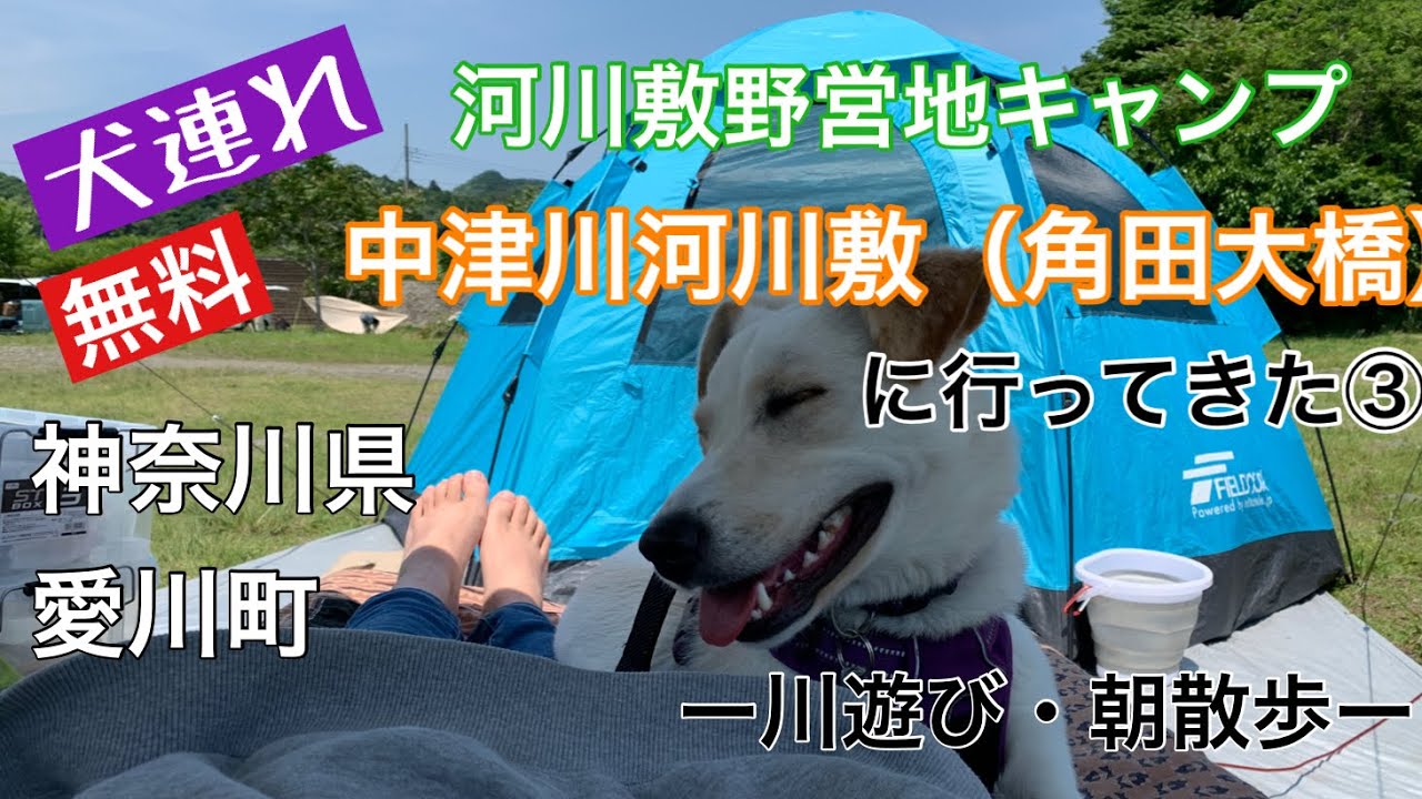 春キャンプ 河川敷野営地 予約不要 無料キャンプ場 中津川河川敷 角田大橋 犬連れキャンプ ー川遊び 朝散歩ー Youtube