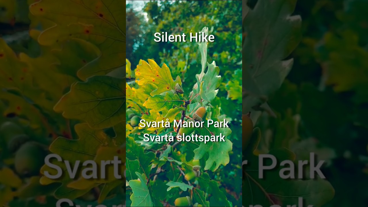 Enchanting Svartå Manor Park: Castle, Nature, and Sculptures in Finland