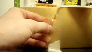 Microfluidics with a bubble 3/17/10