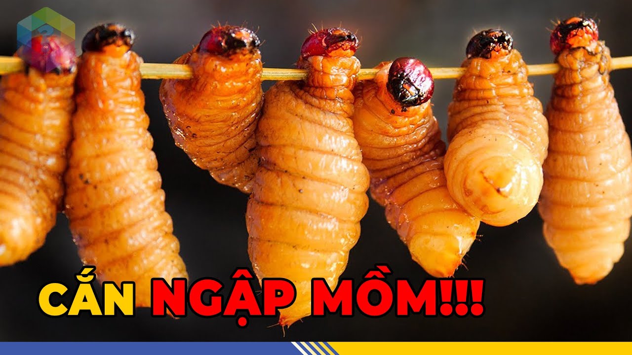 TÂY Sợ 10 “ĐẶC SẢN” DỊ NHẤT Vùng Cao Việt Nam - Nhìn RÉN Không Dám Thử [Top 1 Khám Phá]