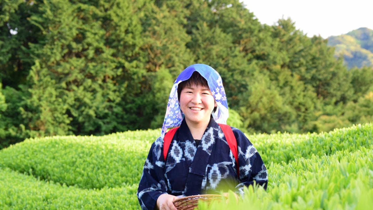 6 Destinations for Green Tea Lovers YouTube