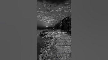 قرآن كريم #آيات #دويتو #القرآن_الكريم #ايات #قرآن #لايك #قران #قران_كريم #حالات_واتس #فولو