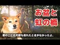 お盆】旅立った愛犬が「虹の橋」を渡って私たちに会いに来ます。Your dog from heaven comes to see you