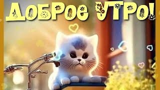 Воскресный позитивчик для настроения...Доброе утро 😊💖