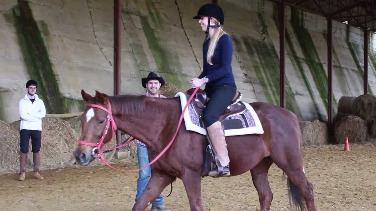 Ranch Pia, Marija Bistrica - škola jahanja (tečajevi)