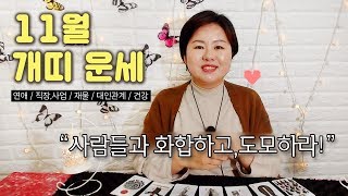 11월 주역타로 운세 (11) 개띠 / 연애운·직장운·재물운·대인관계운·건강운