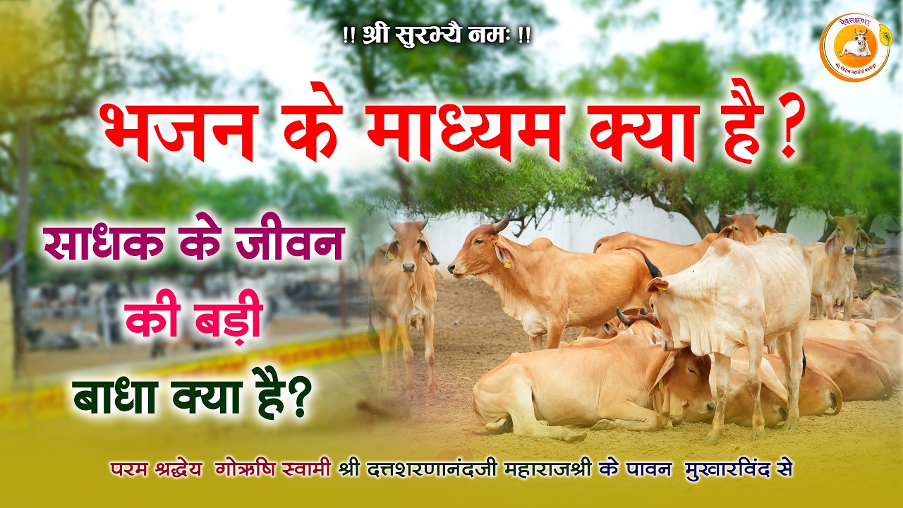 भजन का सही मार्ग क्या है? | साधक के जीवन की बड़ी बाधा | परम श्रद्धेय गोऋषि स्वामी पथमेड़ा महाराजश्री