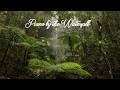 Relaxing Piano &amp; Waterfall Sounds 🌿 Where Nature Speaks, the Soul Listens