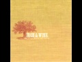 Iron & Wine - Bird Stealing Bread