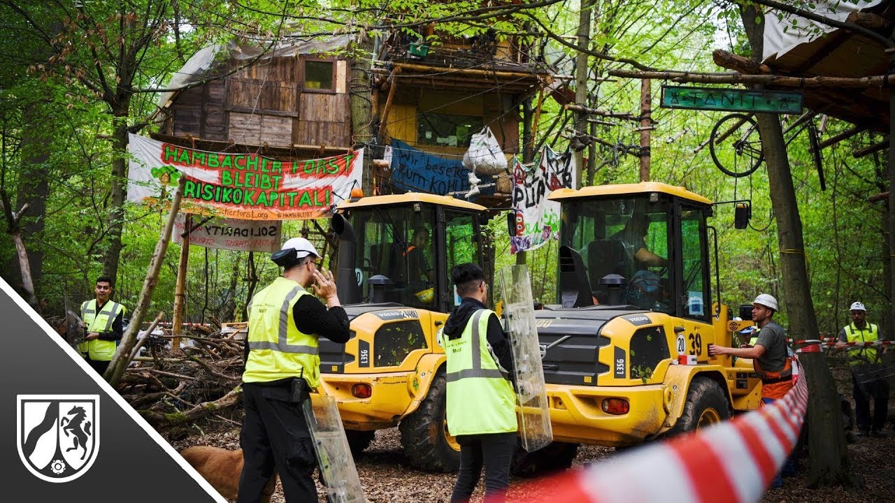 Einsatz am Hambacher Forst: RWE räumt Barrikaden von Kohle-Gegnern