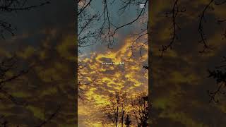 tiptoe by HYBS #lyrics