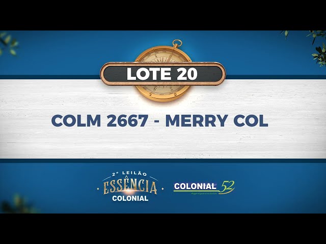 LOTE 20   COLM 2667