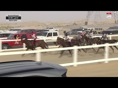 لحظات الحسم في سباق كأس صاحب السمو رئيس الدولة للقدرة 2025