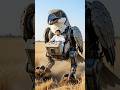 Robot spraying water and digging soils #shorts #shortsviral #fypシ #viralshorts