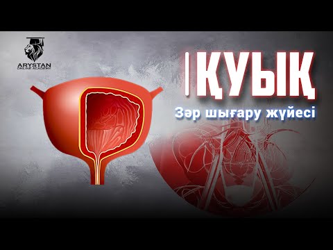 Вуайерист порно видео Әдемі қыздардың порно видеолары