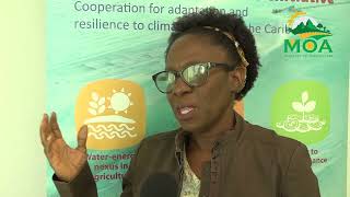 Information FAO HEALTH ASSESSMENT REPORT  SCHOOL FEEDING PROGRAM Guide