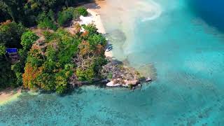 Andaman and Nicobar Red Skin