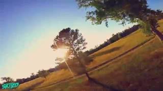 Tree Dancing Volume 3 (blheli_s tuning run)