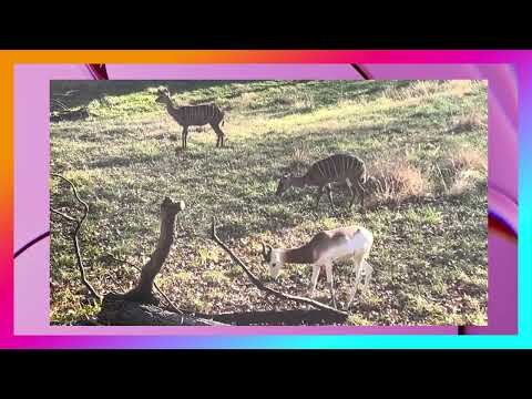 Born of Sand and Wind