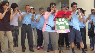2016 0807 龜山樂齡陶笛班 口琴班在三井表演快閃 11分30秒