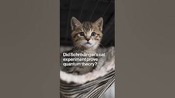 Did Schrödinger’s Cat Experiment Prove Quantum Theory?