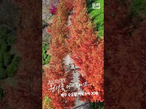 [#원마라] 드론과 함께 더 높은 곳으로!