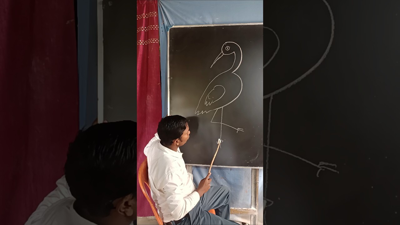 Amazing Heron bird drawing 