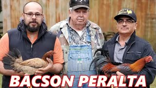 Cowan Roundhead Mitch W Bacson Peralta | Beautiful Birds