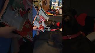 Advent Calendar for Dogs! Day 18
#christmas is awesome for #dogsofyoutube especially when they have their own #adventcalendar and its Day 18 of cookies! Advent Calendar for Dogs! Day 18