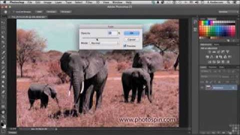Photoshop cc tutorial for beginners  Chapter 07  Part 07 Destructive and Non Destructive Adjustment