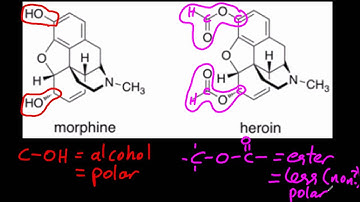 D.8.4 Explain the increased potency of diamorphine (heroin) compared to morphine IB Chemistry