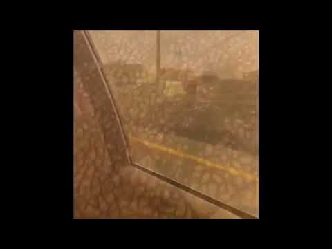 فلوق التدريب التعاوني