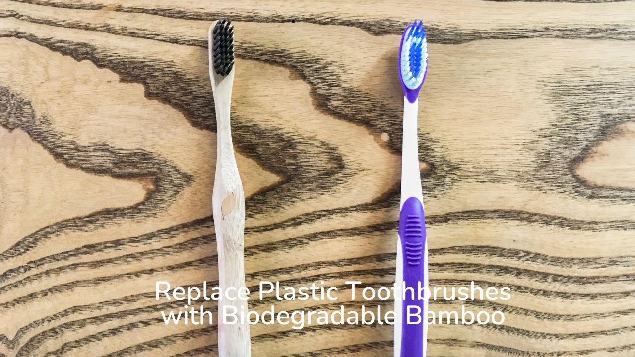 Eco-Friendly Bamboo Toothbrush with Compostable Bristles - Your Sustainable Oral Care Solution