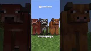 Minecraft Update Terbaru! Sapi Bertanduk, Firefly Kembali, &amp; Fitur Baru!