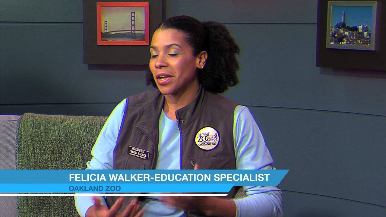 TEDDY BEAR TEA with MORRIS and FELICIA - YouTube