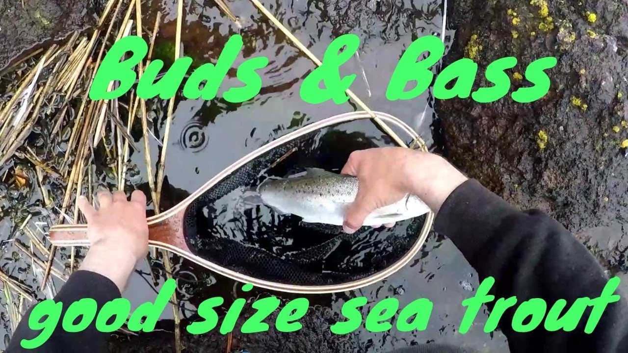 Sea trout on spinner river tay estuary river fishing scotland uk YouTube