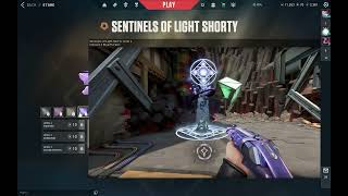 Spectrum Guardian? Day 32 of waiting for the kuronami vandal