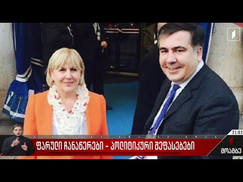 ფარული ჩანაწერები - პოლიტიკური შეფასებები