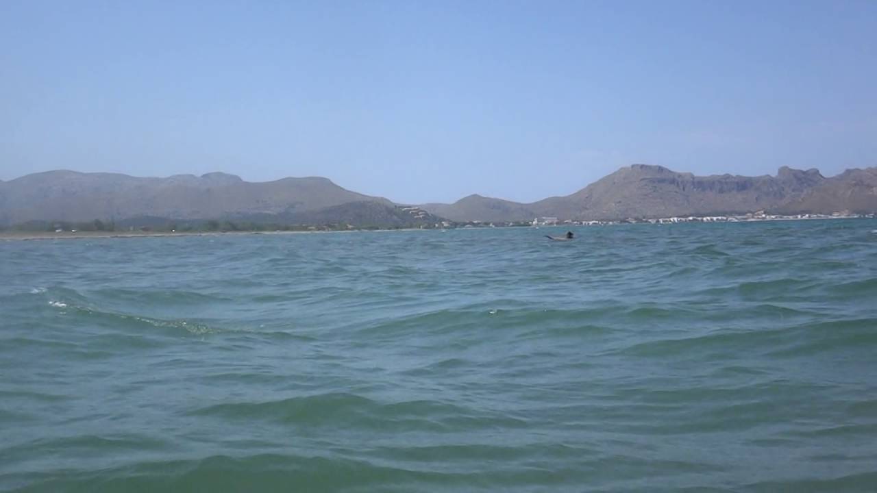 Mallorca kitekurse Antonia se cae y luego pasa cerca