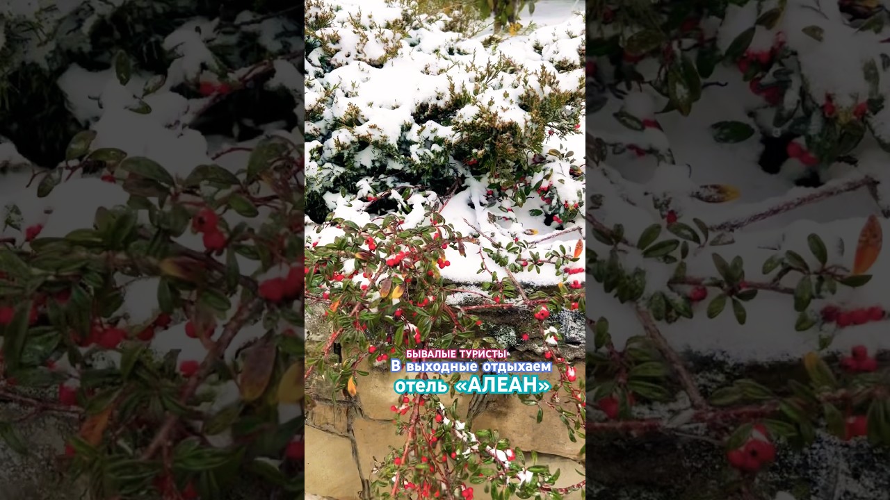 Выходной день #Геленджик #тревелвлог #бывалыетуристы #отель #Алеан #зима #люблюСнег #всегдаВместе