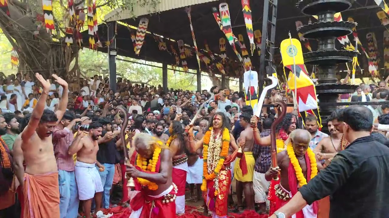 കൊടുങ്ങല്ലൂർ ഭരണി അശ്വതി കാവ് തീണ്ടൽ 2025