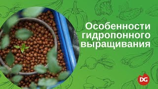 Особенности гидропонного способа выращивания(Это видео посвящено гидропонному способу выращивания. Мы расскажем об основных свойствах воды, имеющих..., 2016-04-15T04:25:39.000Z)