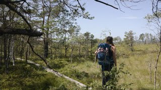 Hiking through a large bog and spending the night in a hammock